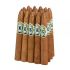 CASA DE GARCIA NICARAGUA CIGARS - 20 CT