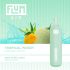 FLUM GIO 5% DISPOSABLE DEVICE - 3000 PUFFS - 10 PACK