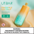 UTBAR DISPOSABLE VAPE 6000 PUFFS 5% 10 CT