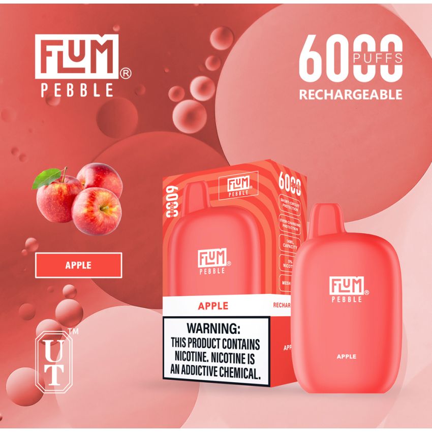 FLUM PEBBLE DISPOSABLE DEVICE 5% 6000 PUFFS 10PK