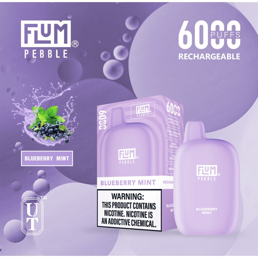 FLUM PEBBLE DISPOSABLE DEVICE 5% 6000 PUFFS 10PK