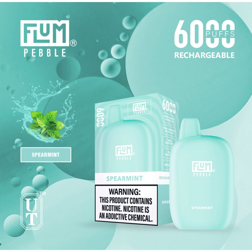 FLUM PEBBLE DISPOSABLE DEVICE 5% 6000 PUFFS 10PK