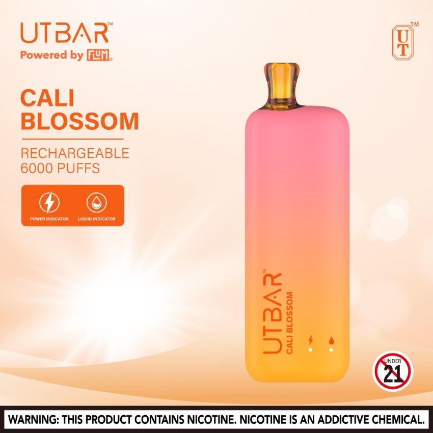 UTBAR DISPOSABLE VAPE 6000 PUFFS 5% 10 CT